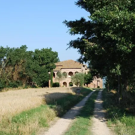 Il Macchione Romizi Binami