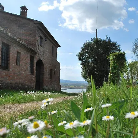 Il Macchione Romizi